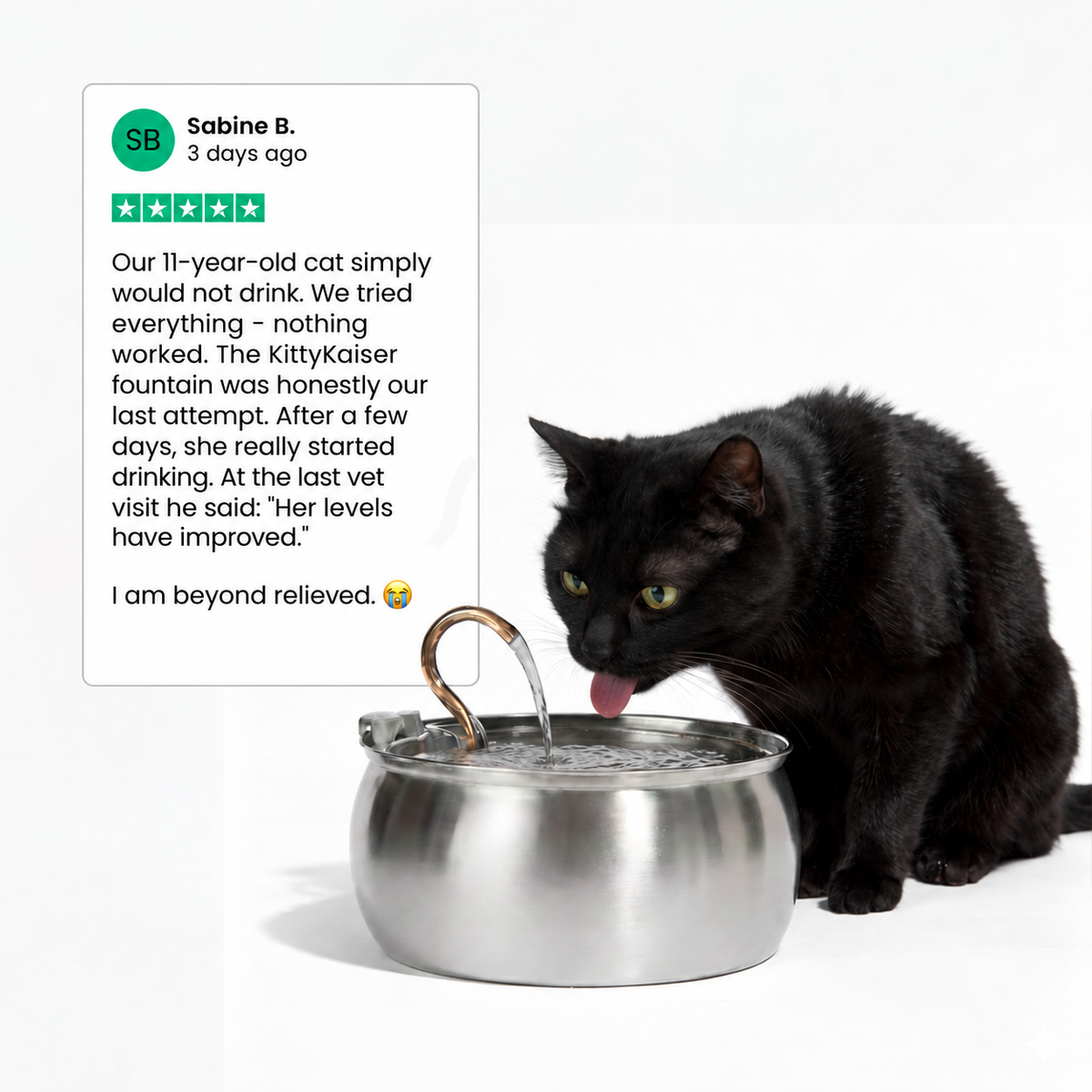 KittyKaiser® Cat Fountain (Stainless Steel)