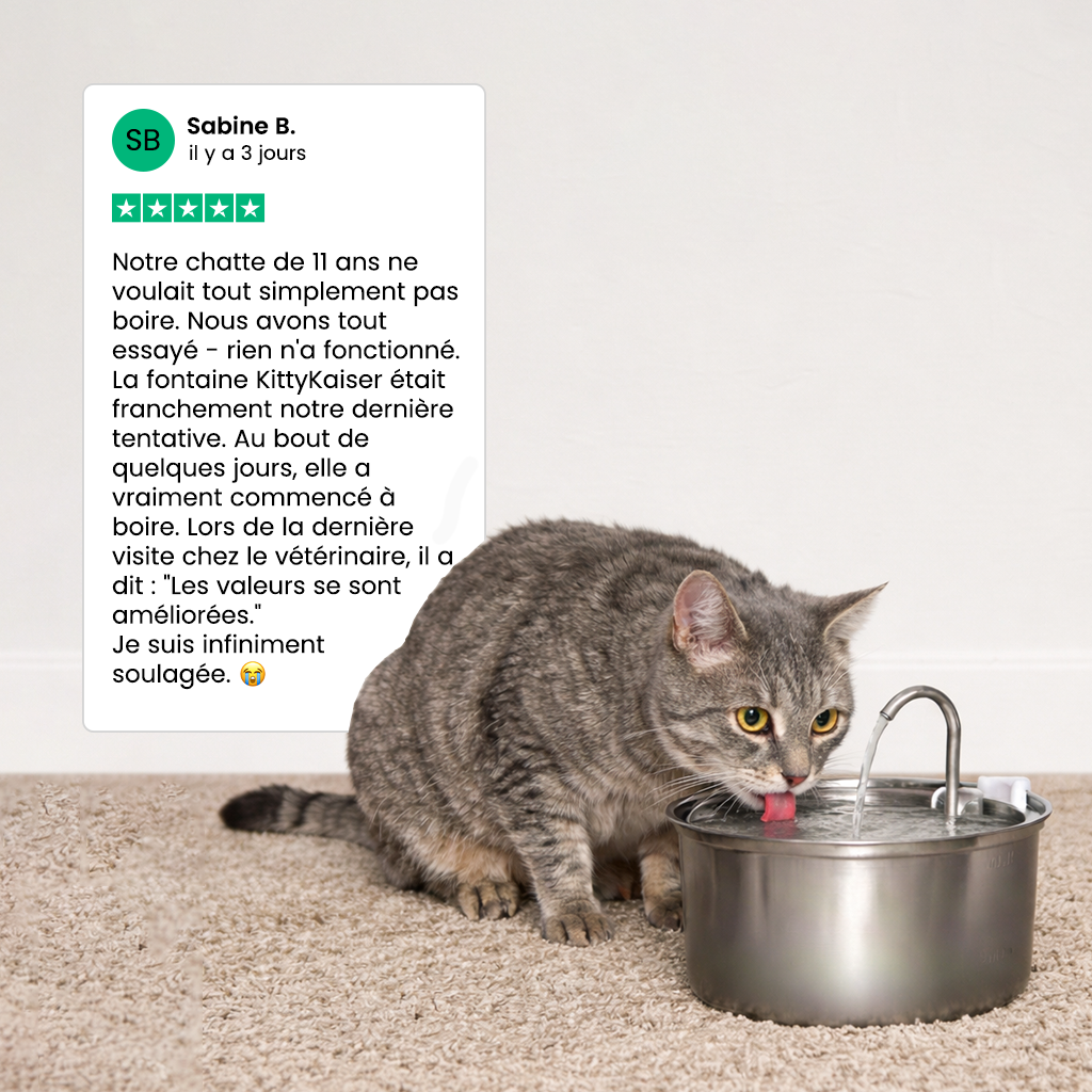 Fontaine pour chat KittyKaiser® (Acier Inoxydable)