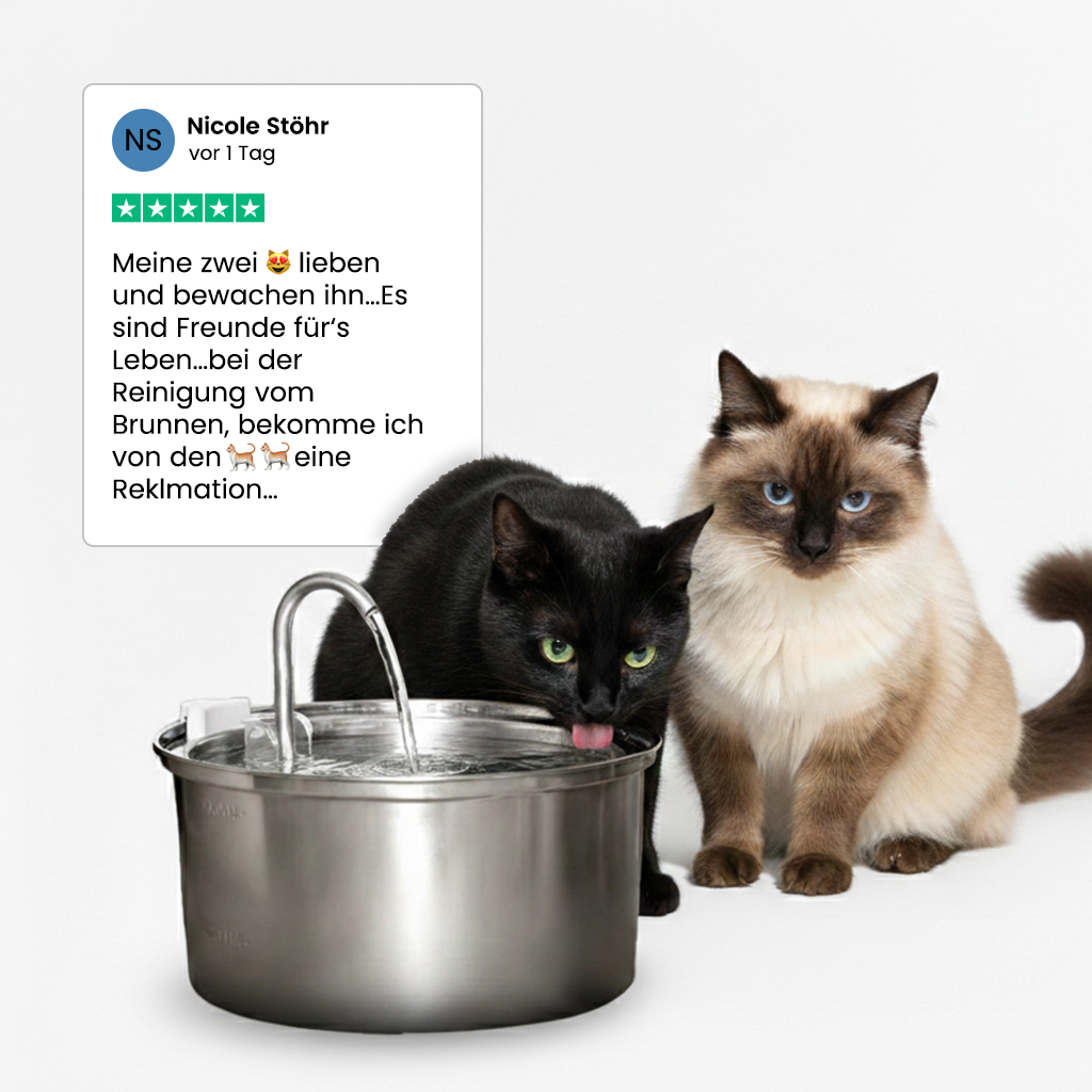 KittyKaiser® Katzenbrunnen (Edelstahl)