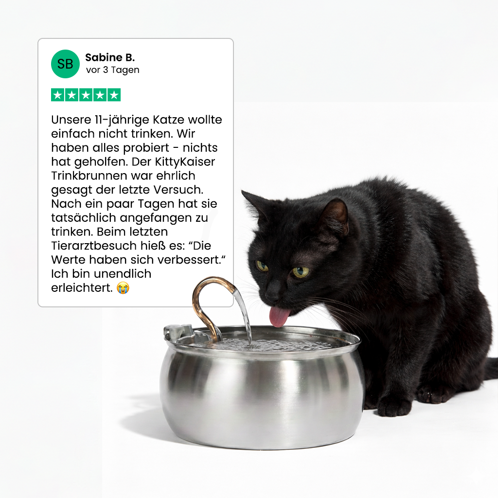 KittyKaiser® Katzenbrunnen (Edelstahl)