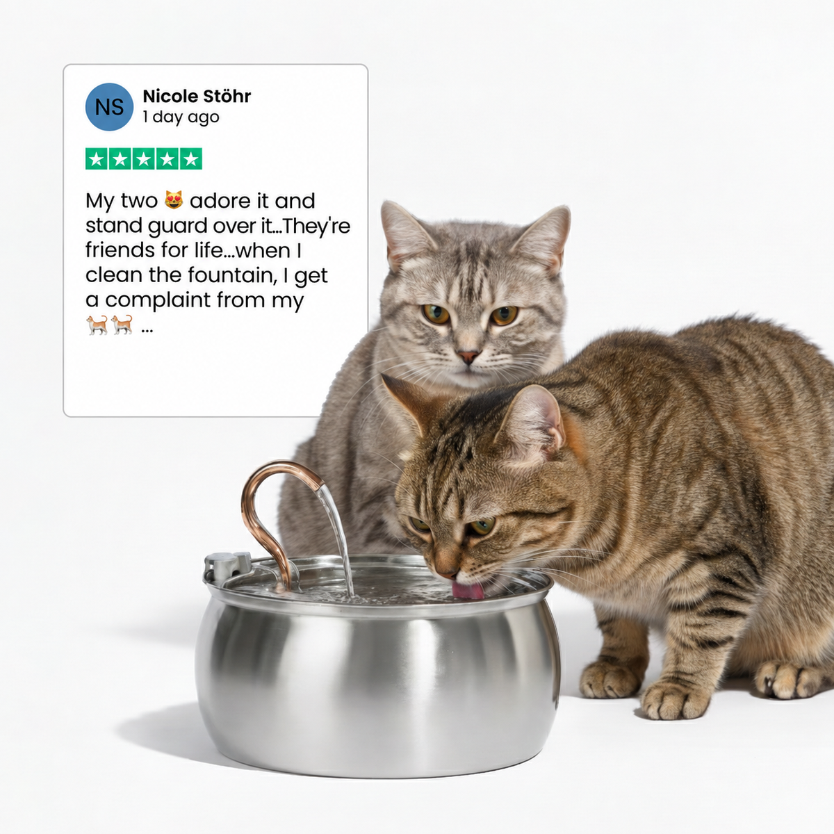 KittyKaiser® Cat Fountain (Stainless Steel)