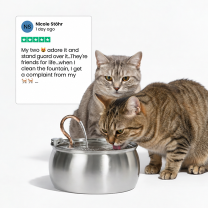 KittyKaiser® Cat Fountain (Stainless Steel)