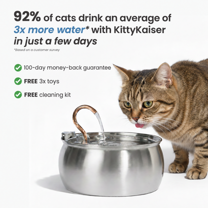 KittyKaiser® Cat Fountain (Stainless Steel)
