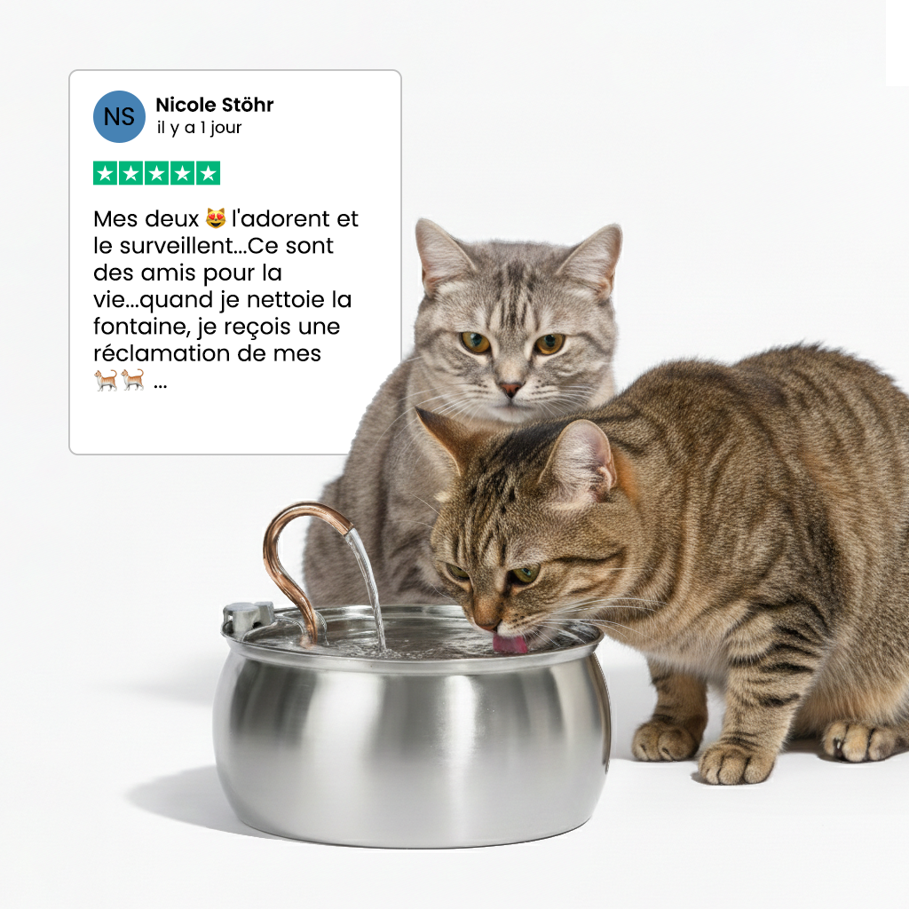 Fontaine pour chat KittyKaiser® (Acier Inoxydable)