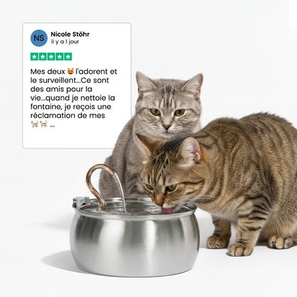 Fontaine pour chat KittyKaiser® (Acier Inoxydable)