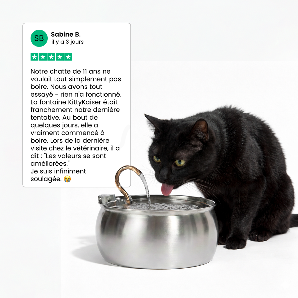 Fontaine pour chat KittyKaiser® (Acier Inoxydable)