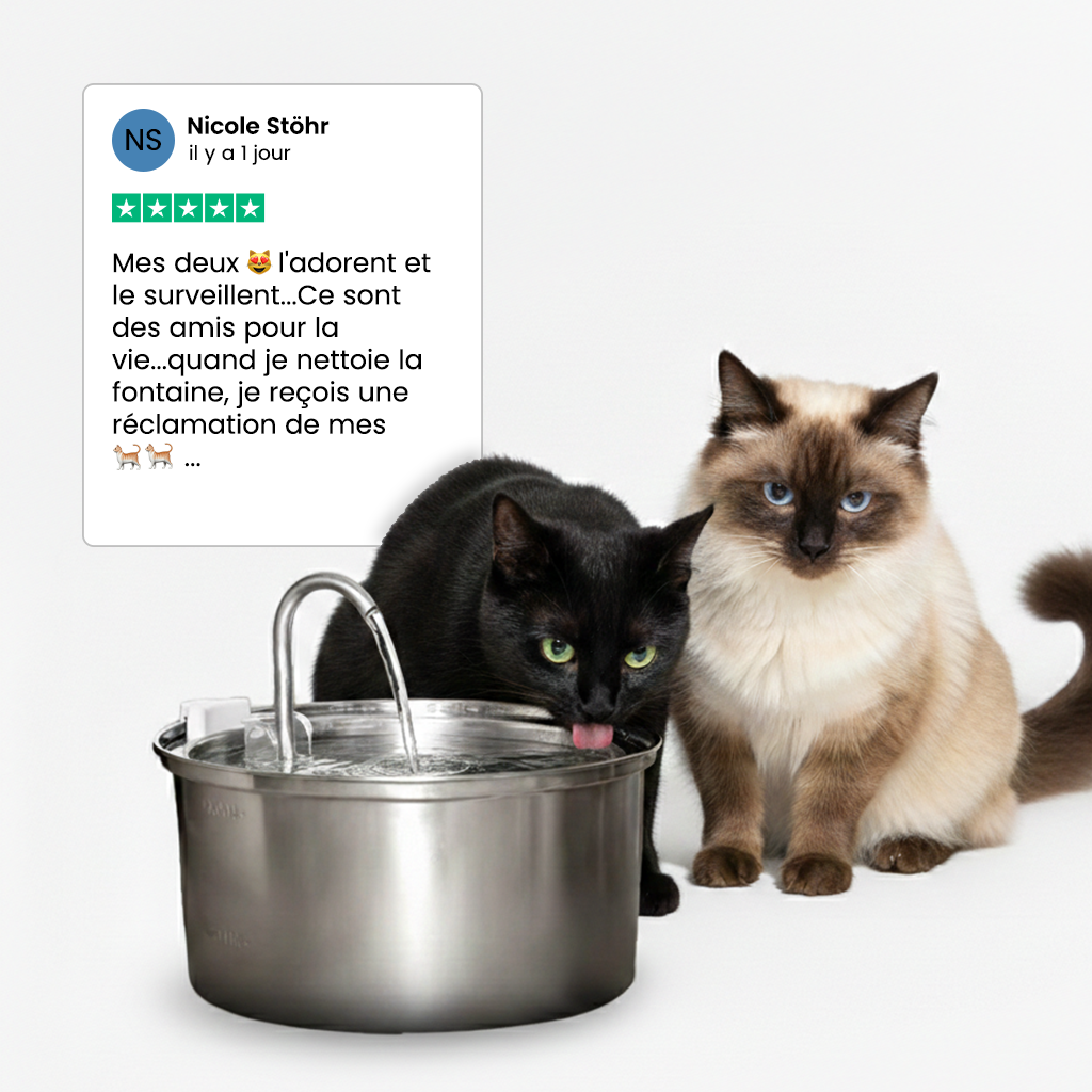 Fontaine pour chat KittyKaiser® (Acier Inoxydable)