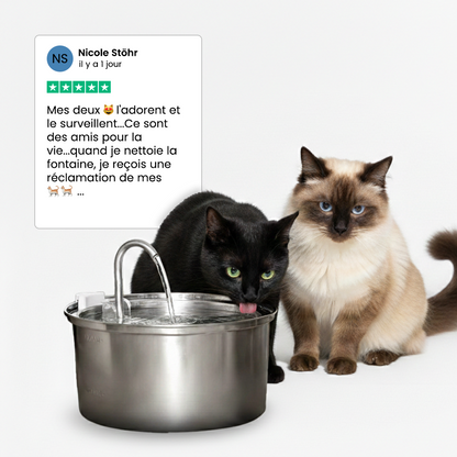 Fontaine pour chat KittyKaiser® (Acier Inoxydable)
