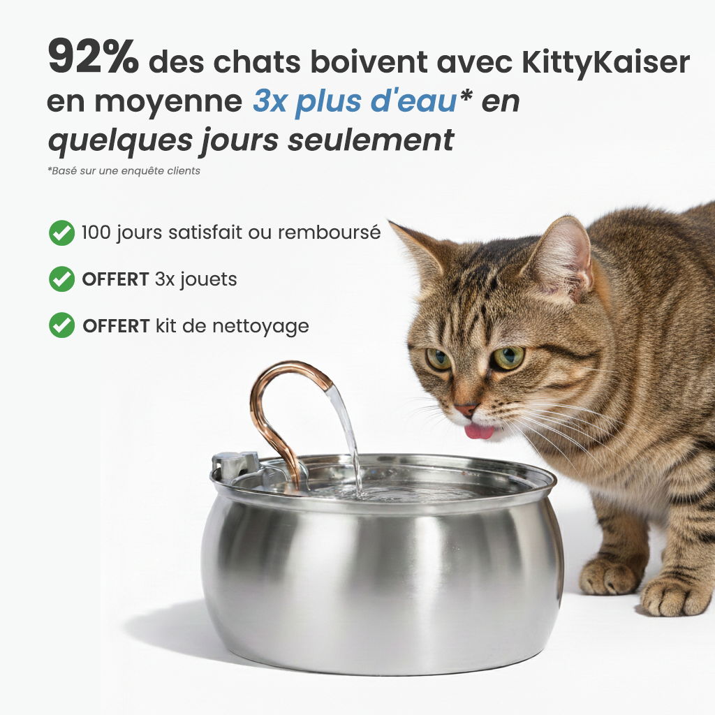 Fontaine pour chat KittyKaiser® (Acier Inoxydable)