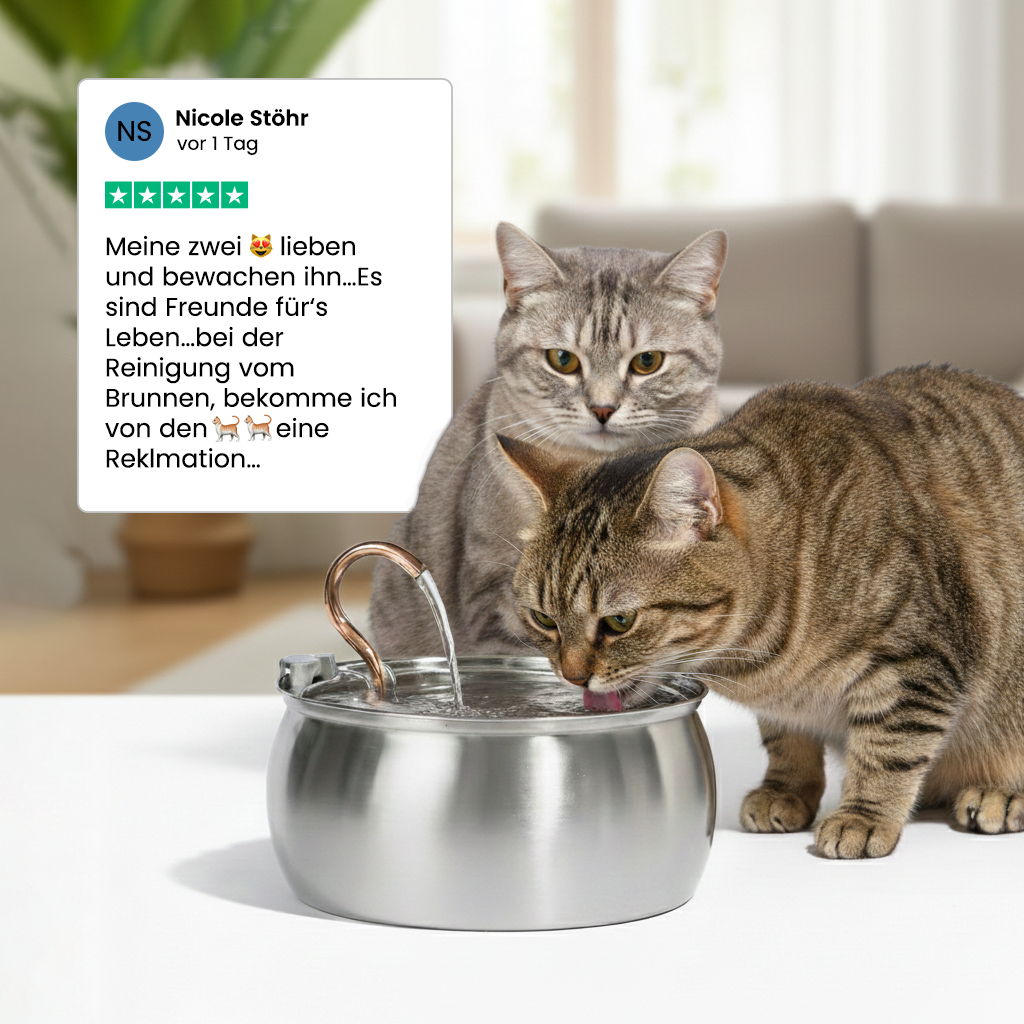 KittyKaiser® Katzenbrunnen (Edelstahl)