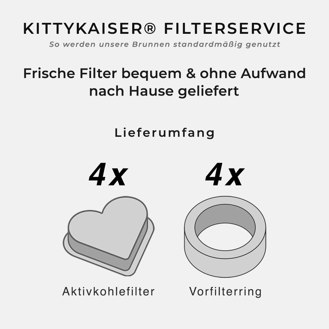 KittyKaiser® Filterservice