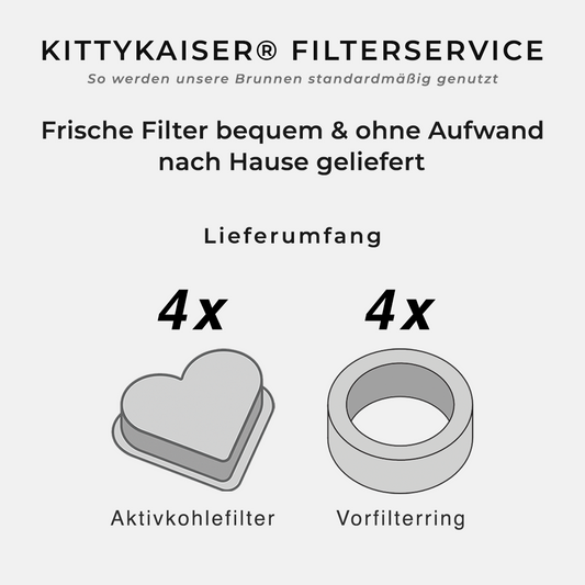 KittyKaiser® Filterservice